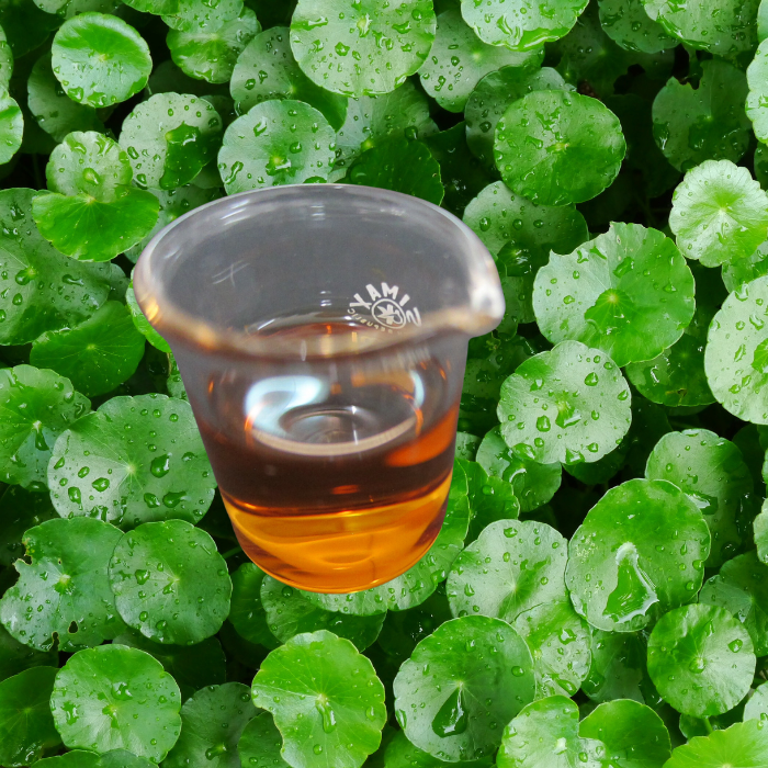 Gotu Kola extract