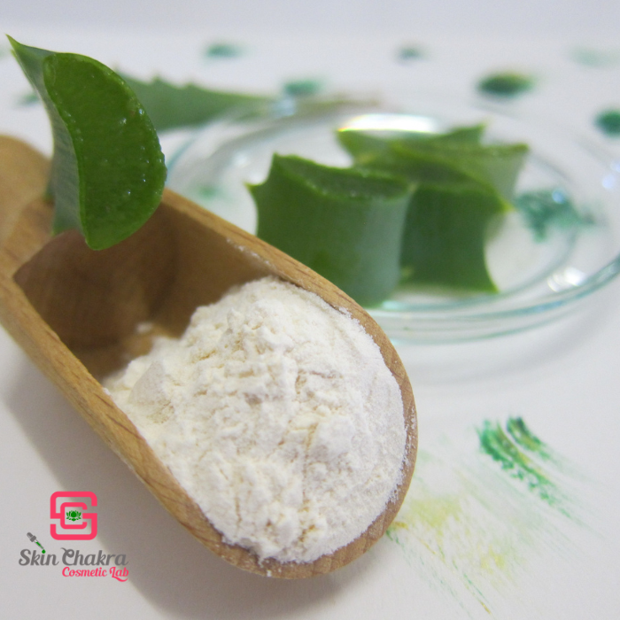 Organic aloe vera powder 200:1