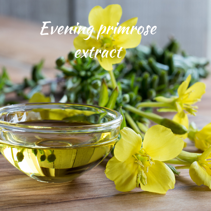Evening Primrose seed CO2 extrac