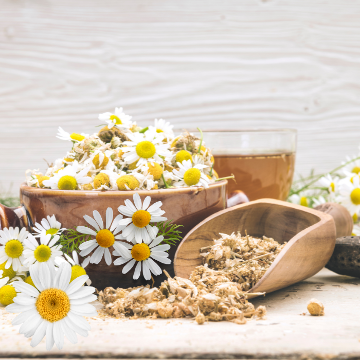 Organic Chamomile hydrosol
