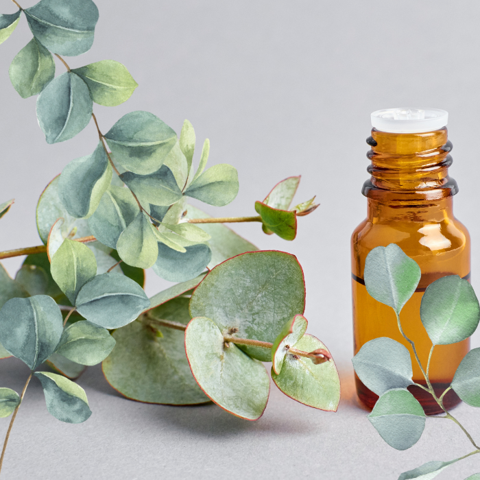 Eucalyptus lemon oil, organic
