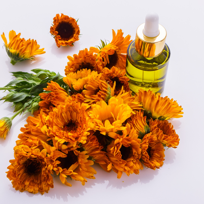 Organic arnica flower oil