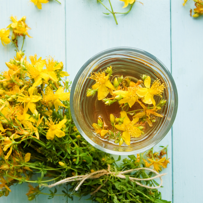 Organic St John's wort oil