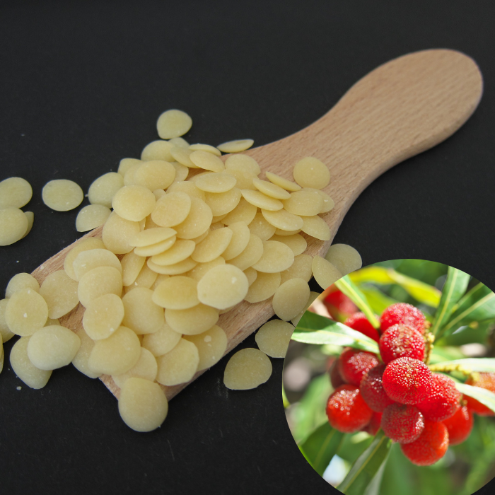 Myrica fruit wax